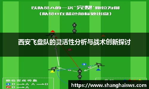 西安飞盘队的灵活性分析与战术创新探讨