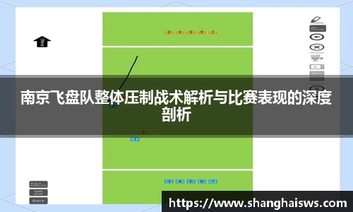 南京飞盘队整体压制战术解析与比赛表现的深度剖析