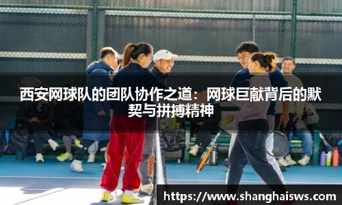 西安网球队的团队协作之道：网球巨献背后的默契与拼搏精神