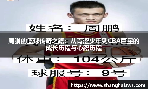 德信体育官网入口